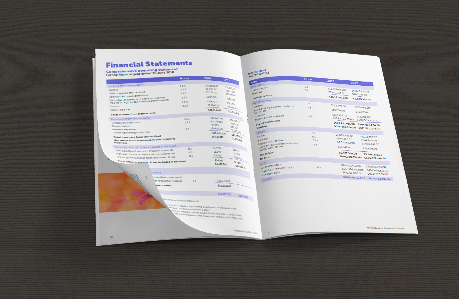 An open page of the report showing financial statements tables